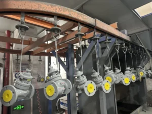 2024_10_26_10_57_IMG_1833