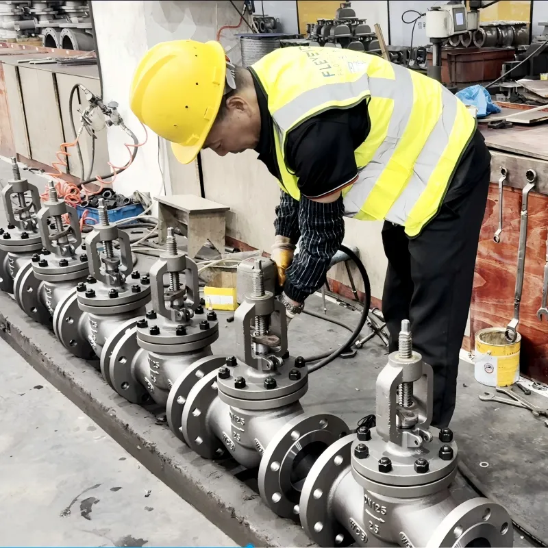 Fleyenda Valve Assemble