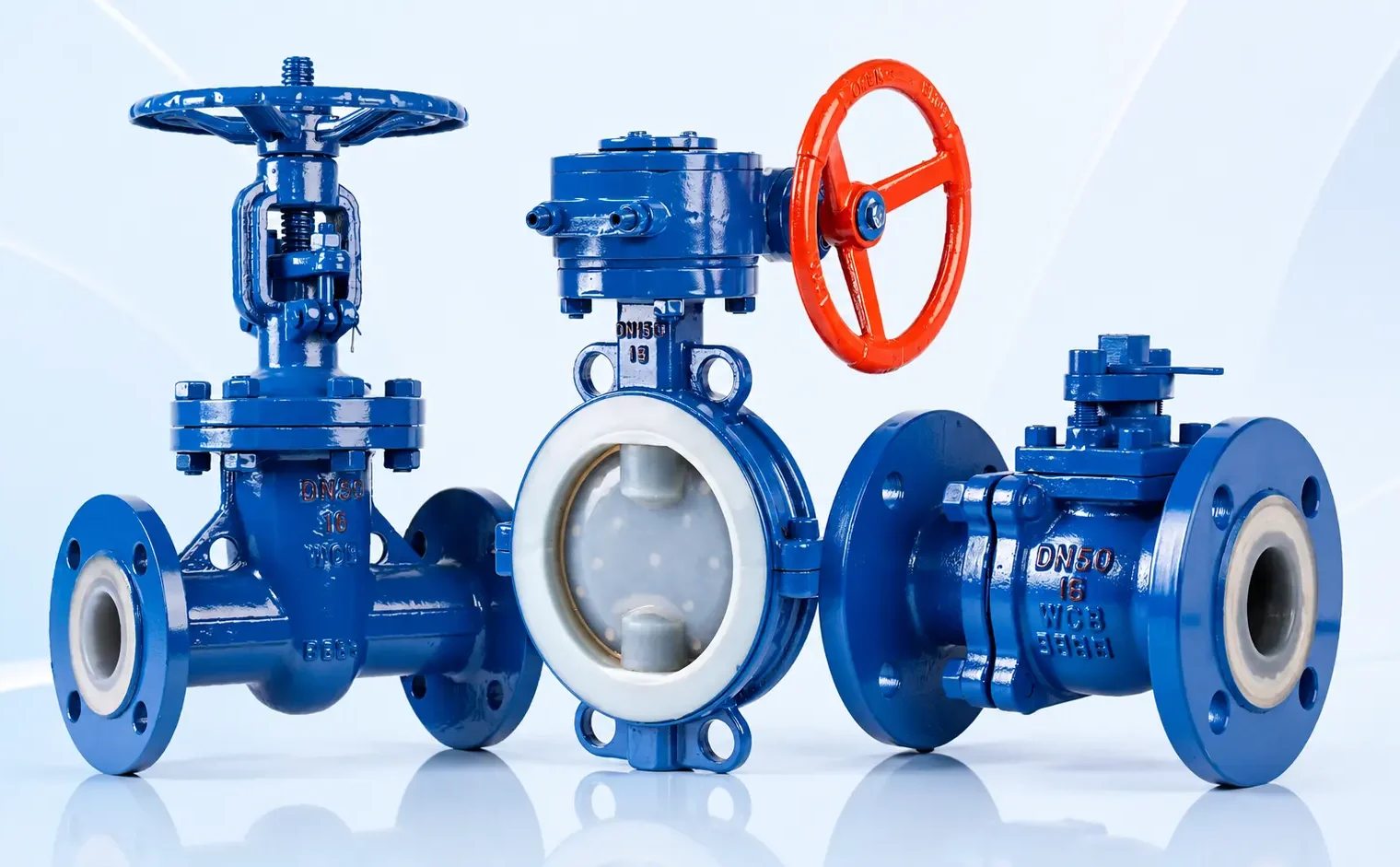 PTFE VAVLES