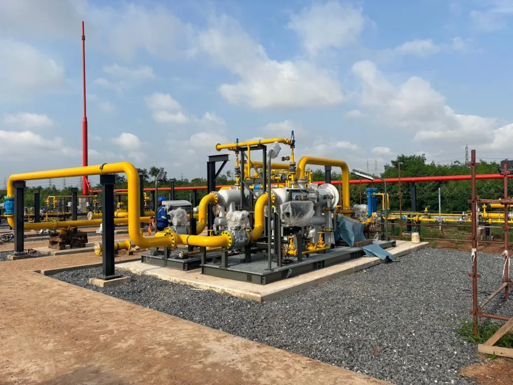 Industrial equipment skid and automation system with integrated process valves