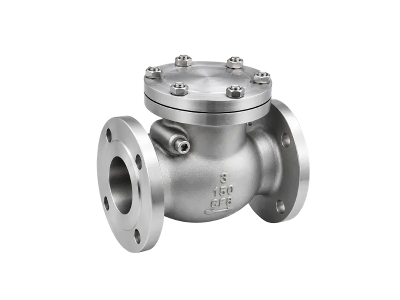 Stainless steel swing check valve